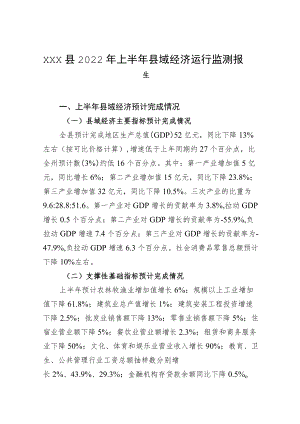 xxx县2022上半县域经济运行监测报告.docx