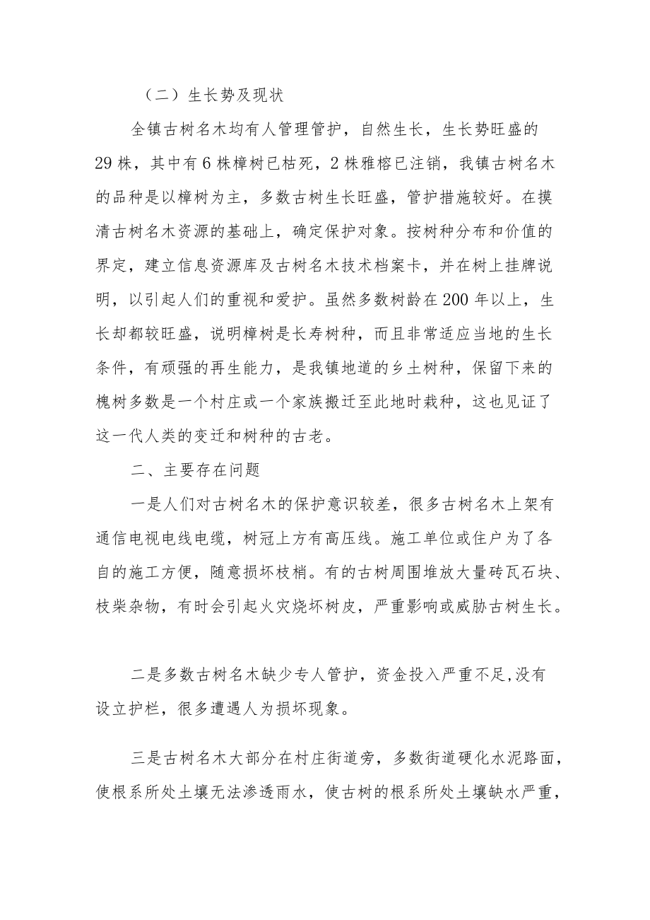 XX镇古树名木的调查总结.docx_第2页