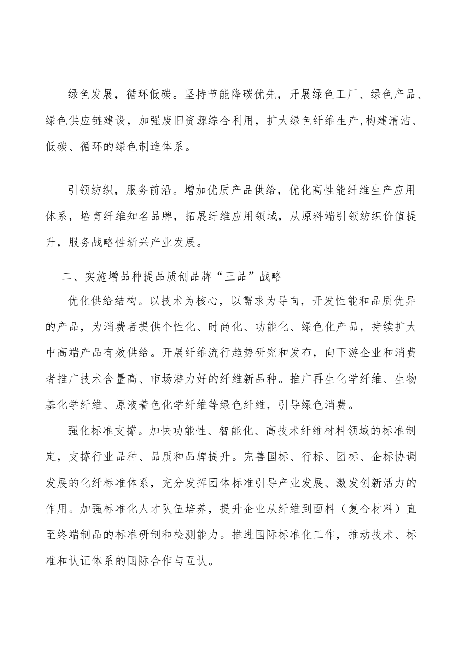 优化化纤工业区域布局行动计划.docx_第2页