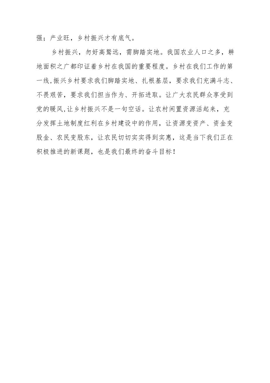 乡村振兴战略乡村干部个人心得体会 (5).docx_第2页