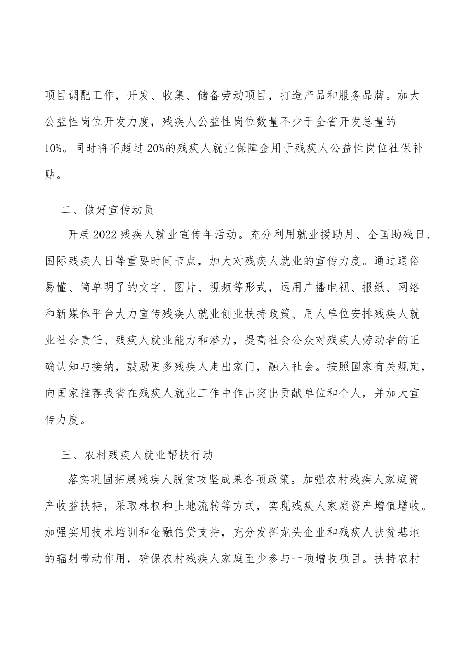 农村残疾人就业帮扶行动实施方案.docx_第2页