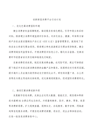 创新新型消费平台行动计划.docx