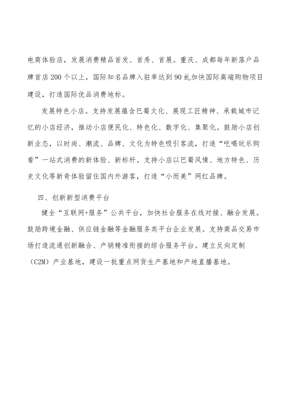 创新新型消费平台行动计划.docx_第3页