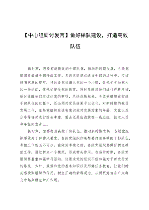 【中心组研讨发言】做好梯队建设打造高效队伍.docx