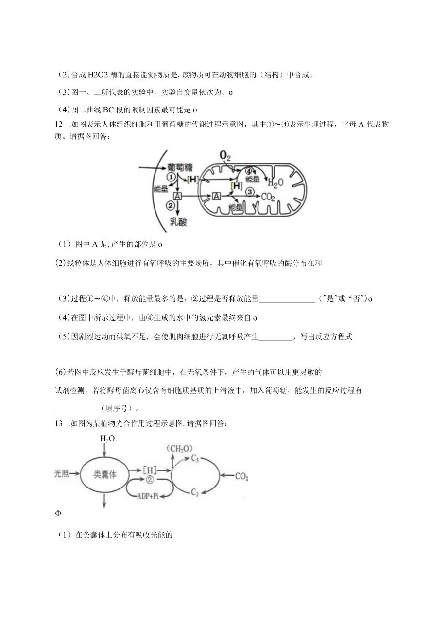 《分子与细胞》第五章测试卷（一）.docx_第3页