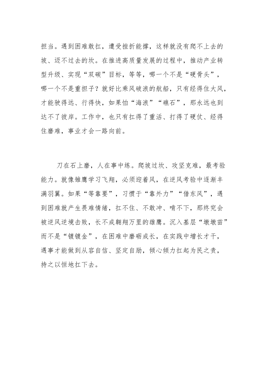 【中心组研讨发言】敢扛事方能干成事.docx_第2页