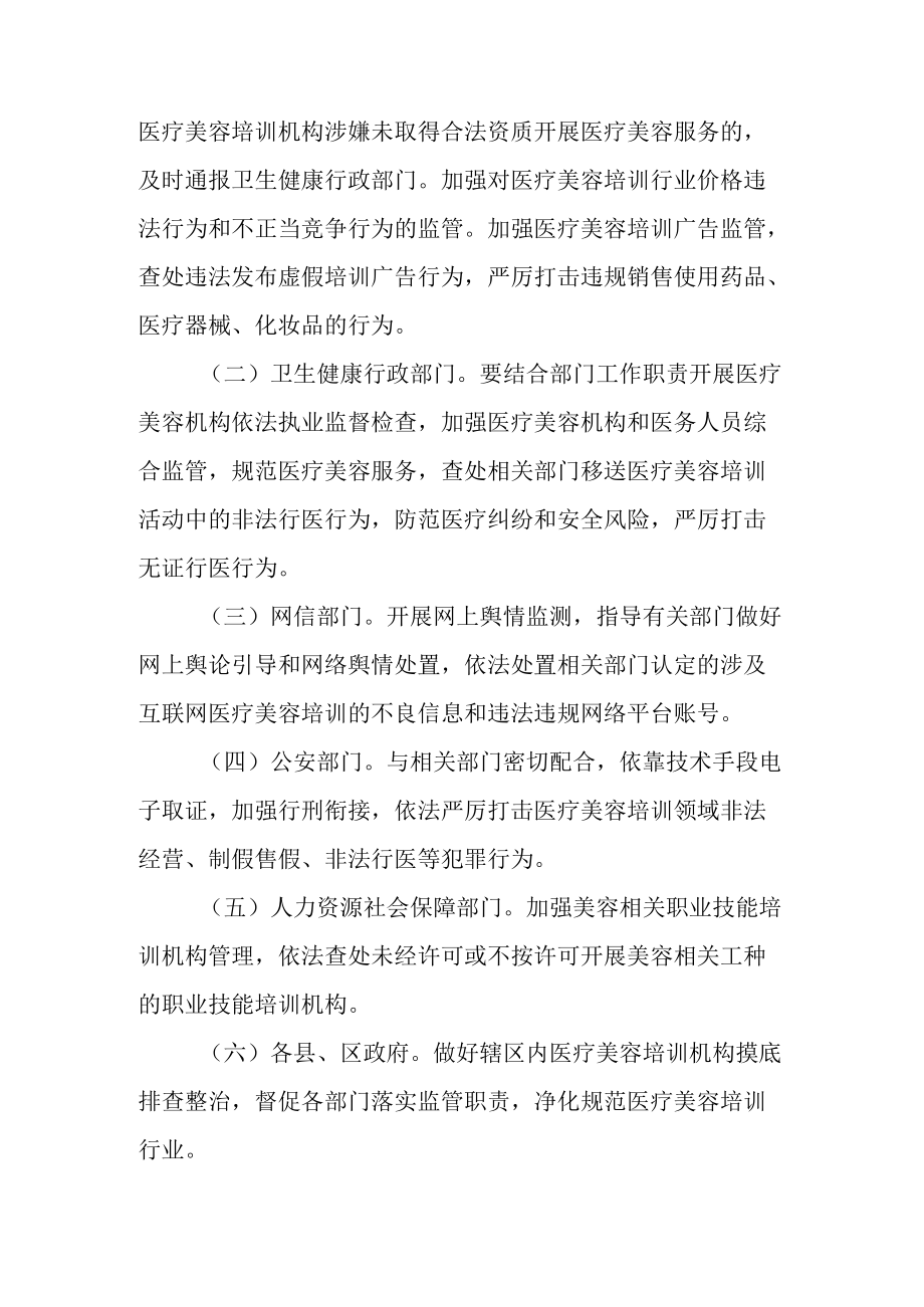 2022医疗美容培训行业专项整治工作方案.docx_第3页