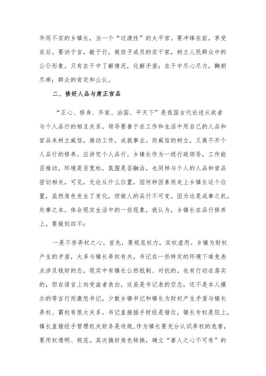 如何当好乡镇长两篇.docx_第3页