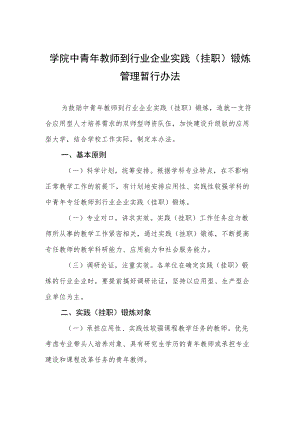 大学学院中青教师到行业企业实践（挂职）锻炼管理暂行办法.docx