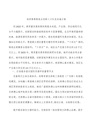 培养集聚制造业创新人才队伍实施方案.docx