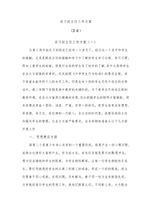 实习班主任工作计划(3篇).docx