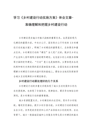 学习《乡村建设行动实施方案》体会文章－准确理解和把握乡村建设行动.docx