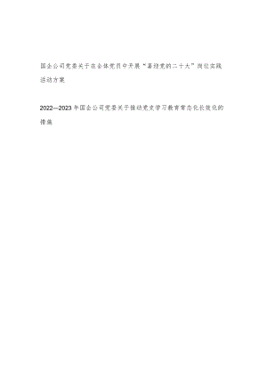 国企公司党委推进党史学习教育常态化长效化措施和“喜迎党的二十大”岗位实践活动方案.docx