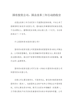 国有投资公司：国企改革三行动的收官.docx