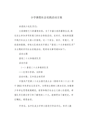 小学暑假社会实践活动方案.docx