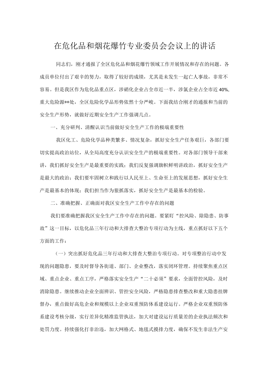 在危化品和烟花爆竹专业委员会会议上的讲话.docx_第1页