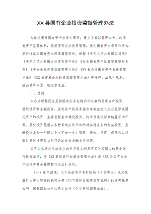 XX县国有企业投资监督管理办法.docx