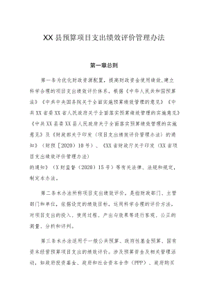 XX县预算项目支出绩效评价管理办法.docx