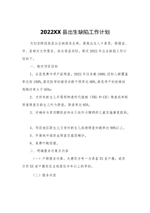 2022XX县出生缺陷工作计划.docx