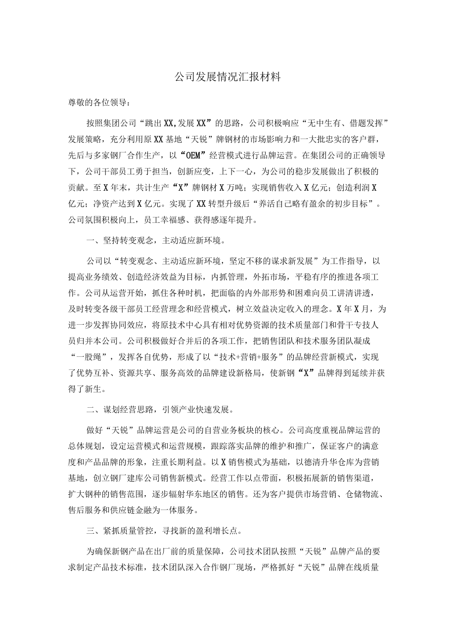 公司发展情况汇报材料.docx_第1页