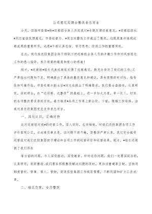 公司意见反馈会整改表态发言.docx