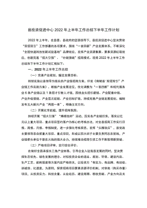 县投资促进中心2022上半工作总结下半工作计划.docx