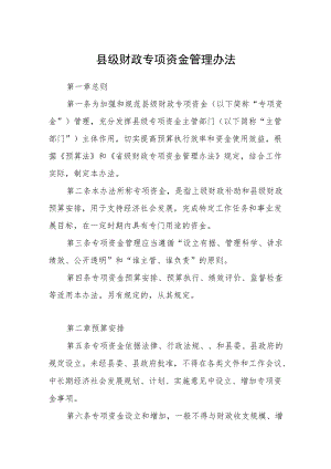 县级财政专项资金管理办法.docx