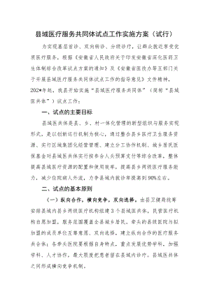 县域医疗服务共同体试点工作实施方案(试行).docx