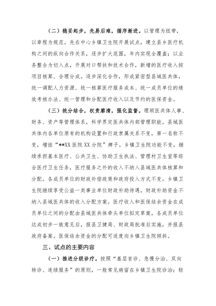 县域医疗服务共同体试点工作实施方案(试行).docx_第2页