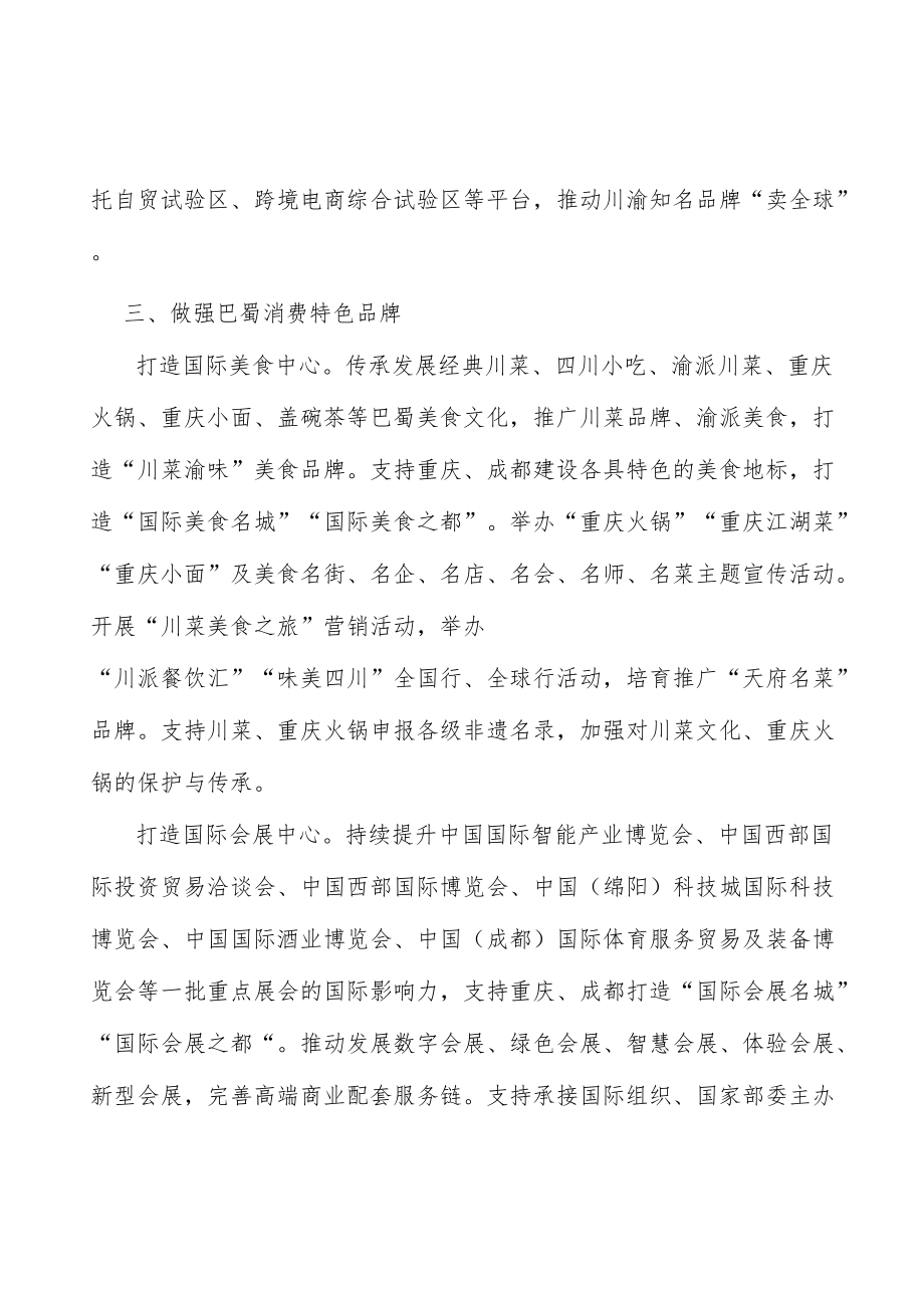 发展国际消费行动计划.docx_第2页