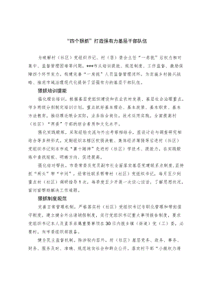 基层干部队伍建设经验交流材料.docx