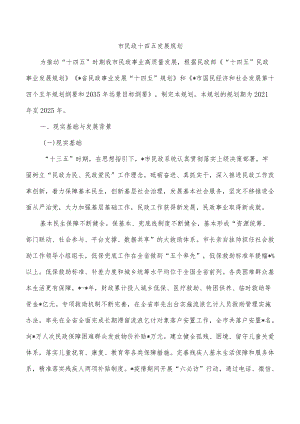 市民政十四五发展规划.docx