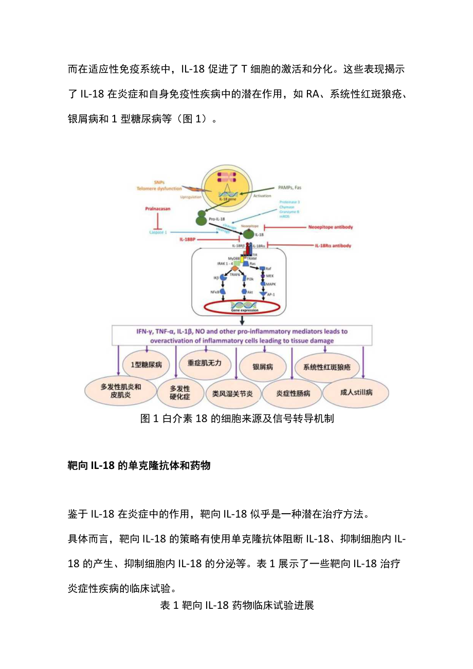 2022免疫细胞因子IL-18的作用及药物研究进展（全文）.docx_第2页