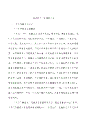 城市燃气行业概况分析.docx