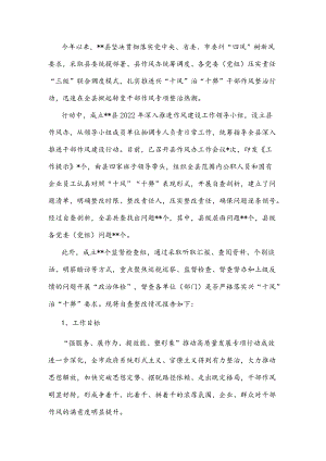 干部作风专项整治工作情况报告.docx