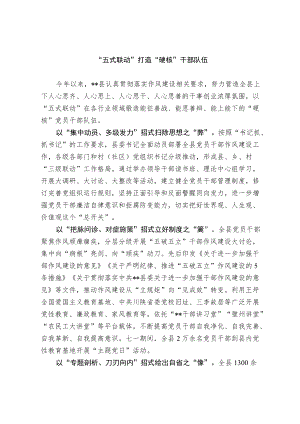 干部队伍建设经验交流材料(1).docx