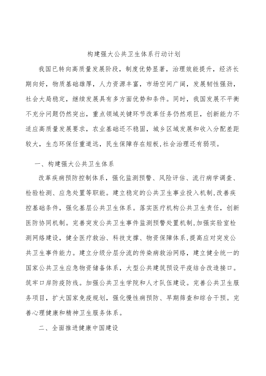 构建强大公共卫生体系行动计划(1).docx_第1页