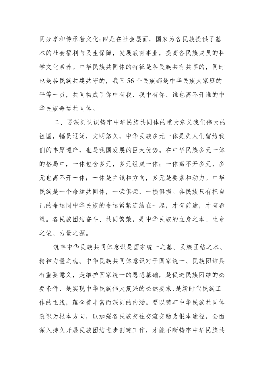 某政府办党员干部铸牢中华民族共同体意识研讨发言.docx_第2页