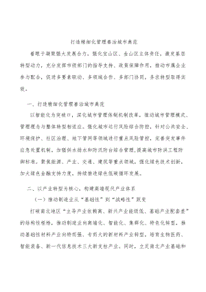 打造精细化管理善治城市典范.docx