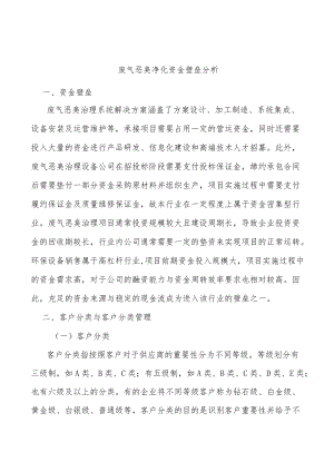 废气恶臭净化资金壁垒分析.docx