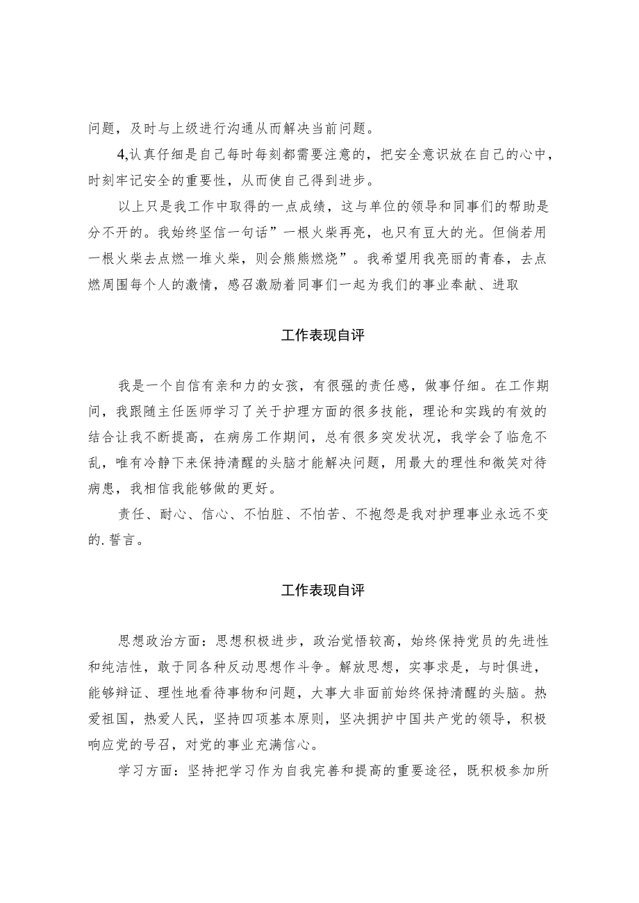 工作表现自评.docx_第2页