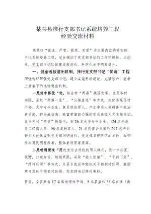 某某县推行支部书记系统培养工程经验交流材料.docx