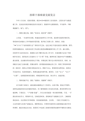 挂职干部座谈交流发言.docx