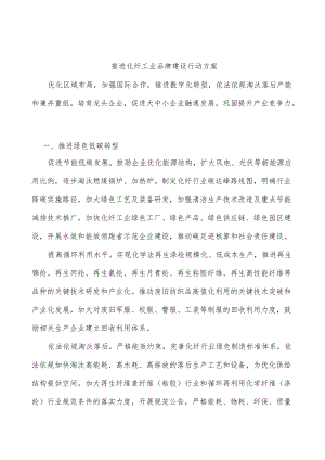 推进化纤工业品牌建设行动方案.docx