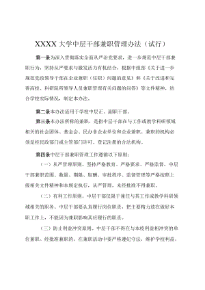 XXXX大学中层干部兼职管理办法试行.docx