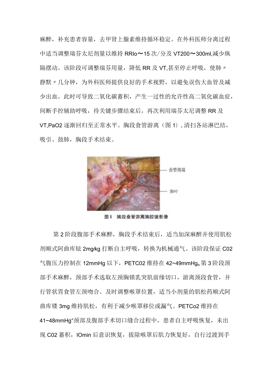 麻醉科医师晋升副主任（主任）医师高级职称病例分析专题报告（食管癌根治术麻醉管理）.docx_第3页