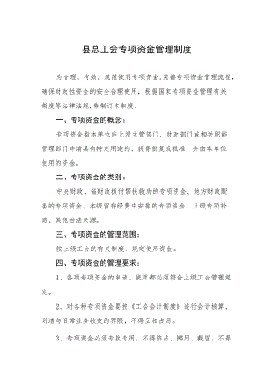 县总工会专项资金管理制度.docx