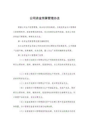 公司资金预算管理办法.docx