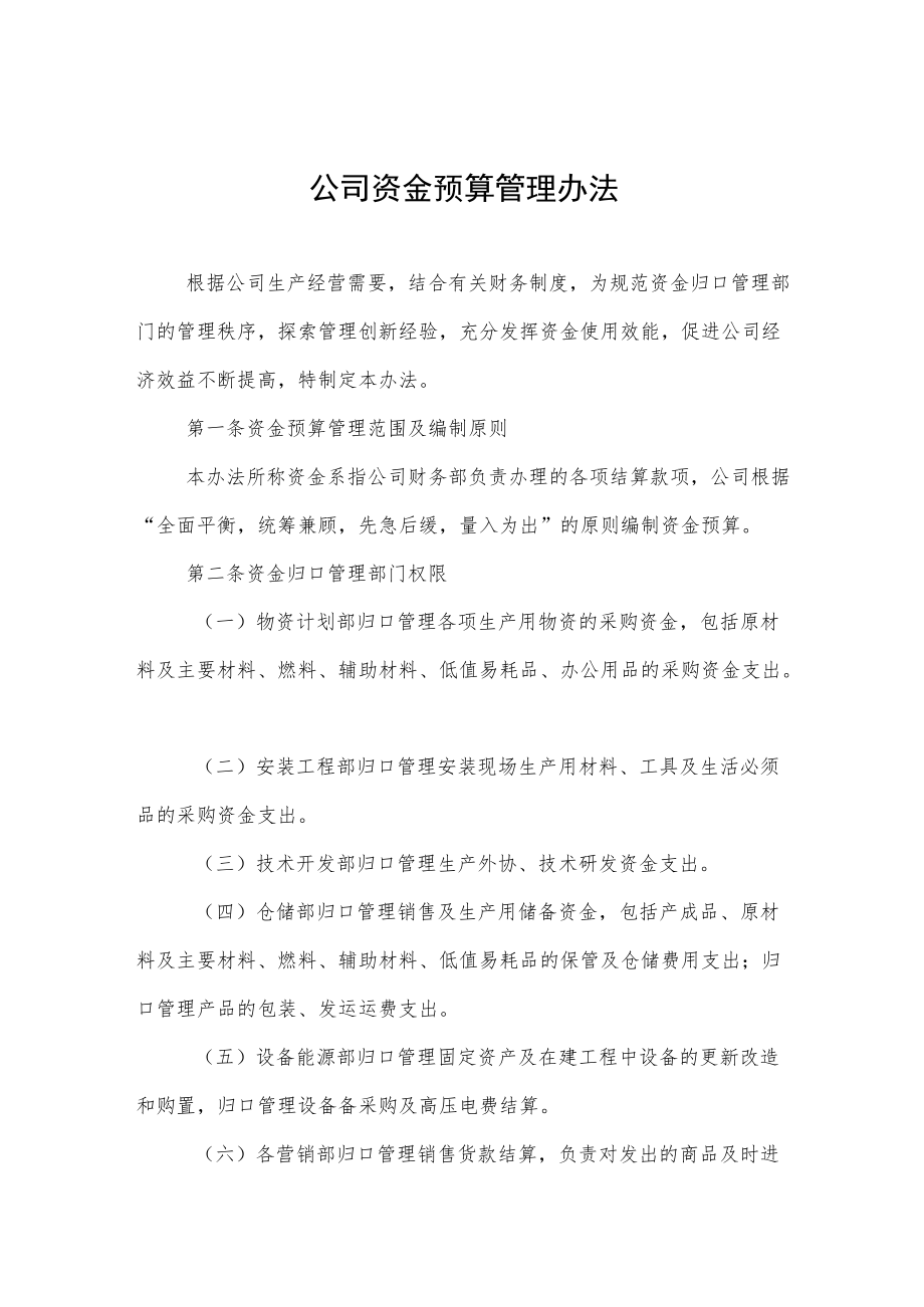 公司资金预算管理办法.docx_第1页