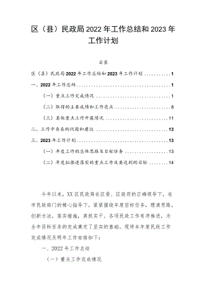 区（县）民政局2022年工作总结和2023年工作计划.docx